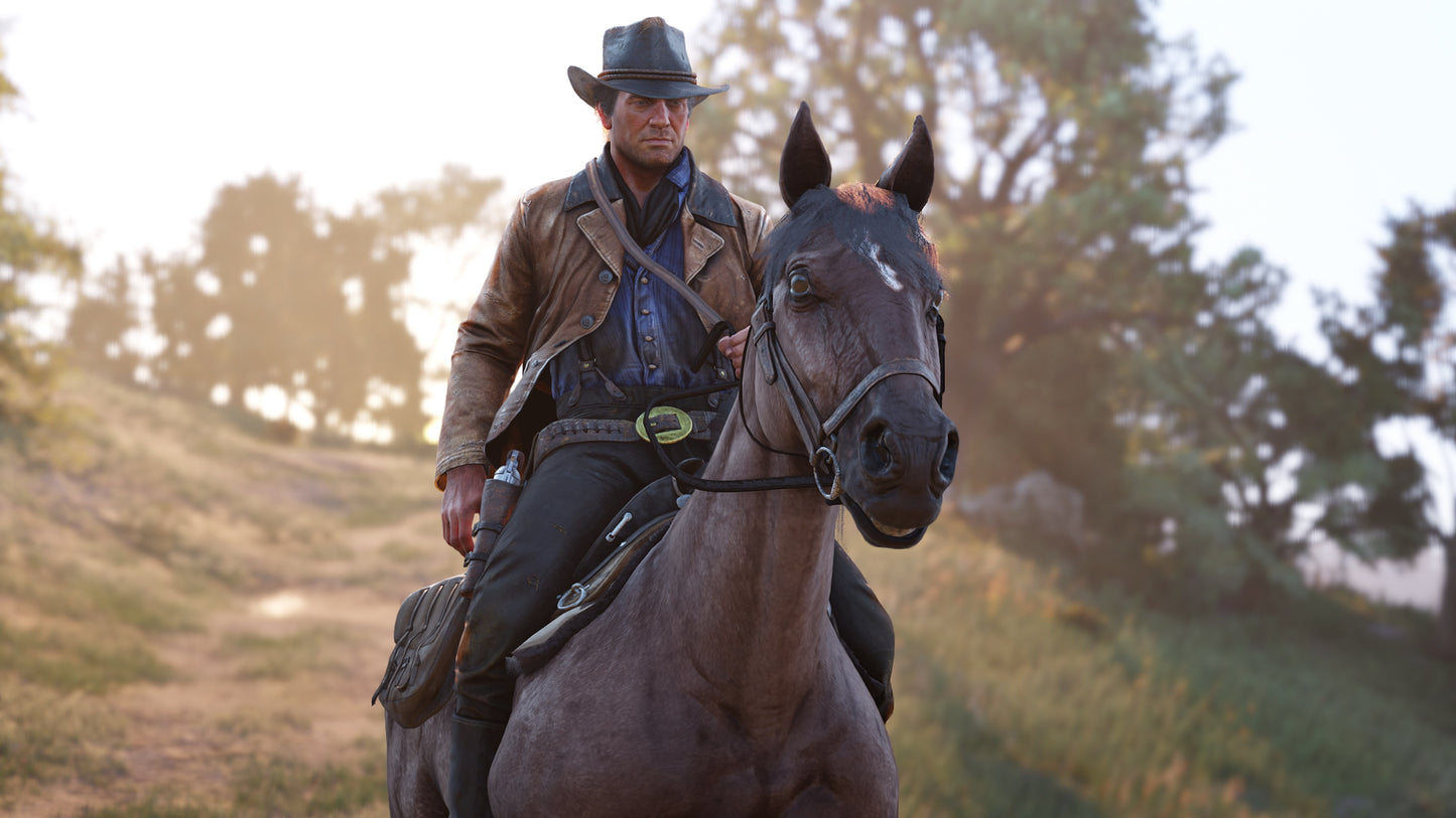 Red Dead Redemption 2 - Xbox one / Series XS Mídia Digital